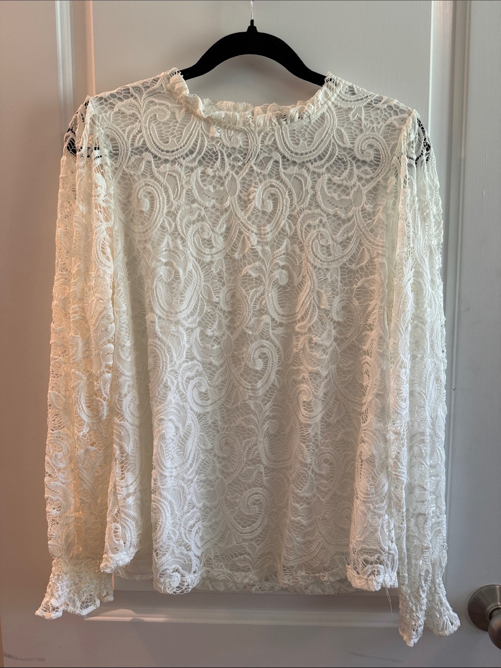 Adrianna Papell Cream Lace, Long-Sleeve Blouse